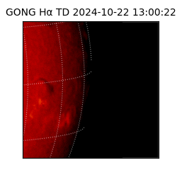 gong - 2024-10-22T13:00:22