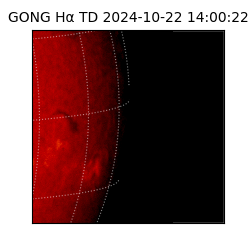 gong - 2024-10-22T14:00:22