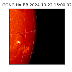 gong - 2024-10-22T15:00:02