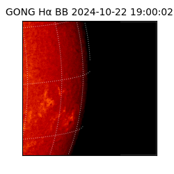 gong - 2024-10-22T19:00:02