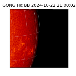 gong - 2024-10-22T21:00:02