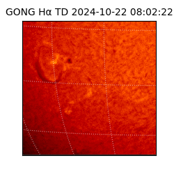 gong - 2024-10-22T08:02:22