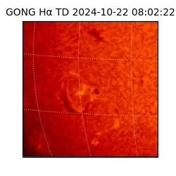 gong - 2024-10-22T08:02:22