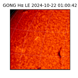 gong - 2024-10-22T01:00:42