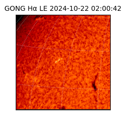 gong - 2024-10-22T02:00:42