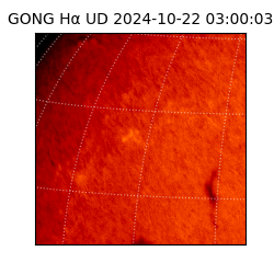 gong - 2024-10-22T03:00:03