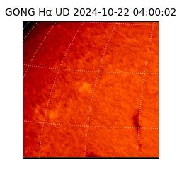 gong - 2024-10-22T04:00:02