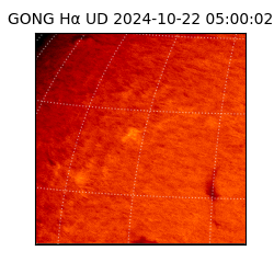 gong - 2024-10-22T05:00:02