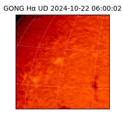 gong - 2024-10-22T06:00:02