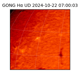 gong - 2024-10-22T07:00:03