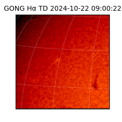 gong - 2024-10-22T09:00:22