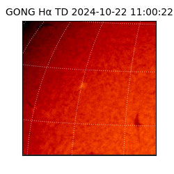 gong - 2024-10-22T11:00:22