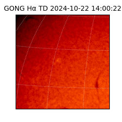 gong - 2024-10-22T14:00:22