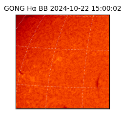 gong - 2024-10-22T15:00:02