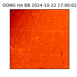 gong - 2024-10-22T17:00:02