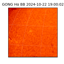 gong - 2024-10-22T19:00:02