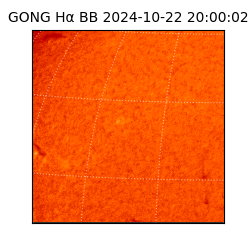 gong - 2024-10-22T20:00:02