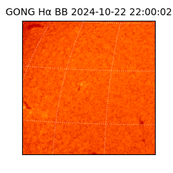 gong - 2024-10-22T22:00:02