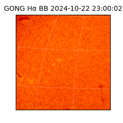 gong - 2024-10-22T23:00:02