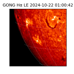 gong - 2024-10-22T01:00:42