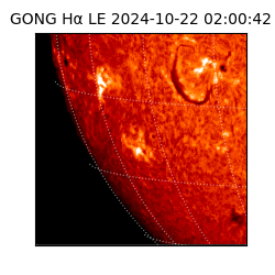 gong - 2024-10-22T02:00:42