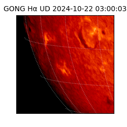 gong - 2024-10-22T03:00:03