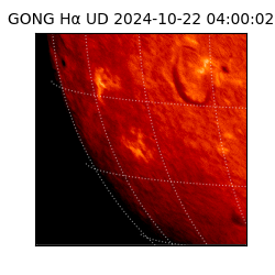 gong - 2024-10-22T04:00:02