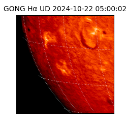 gong - 2024-10-22T05:00:02