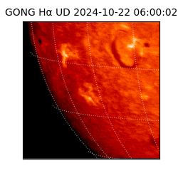 gong - 2024-10-22T06:00:02