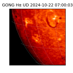 gong - 2024-10-22T07:00:03