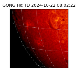 gong - 2024-10-22T08:02:22