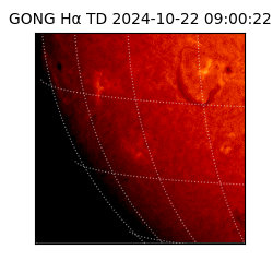 gong - 2024-10-22T09:00:22