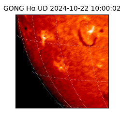 gong - 2024-10-22T10:00:02