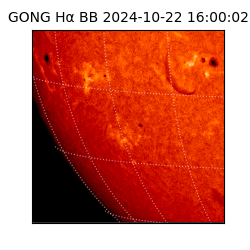 gong - 2024-10-22T16:00:02