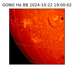 gong - 2024-10-22T19:00:02