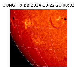 gong - 2024-10-22T20:00:02