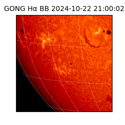 gong - 2024-10-22T21:00:02