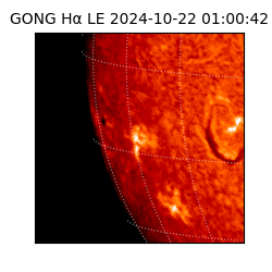 gong - 2024-10-22T01:00:42