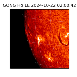 gong - 2024-10-22T02:00:42