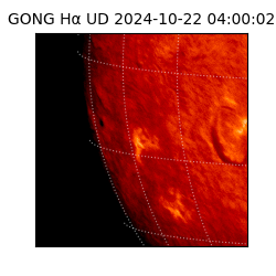 gong - 2024-10-22T04:00:02