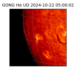 gong - 2024-10-22T05:00:02