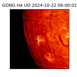 gong - 2024-10-22T06:00:02