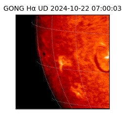 gong - 2024-10-22T07:00:03