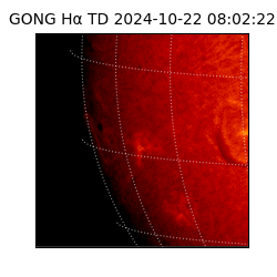 gong - 2024-10-22T08:02:22