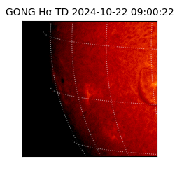 gong - 2024-10-22T09:00:22