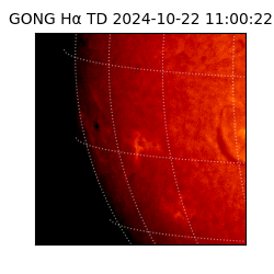 gong - 2024-10-22T11:00:22