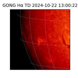 gong - 2024-10-22T13:00:22