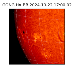 gong - 2024-10-22T17:00:02