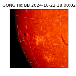 gong - 2024-10-22T18:00:02