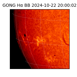 gong - 2024-10-22T20:00:02